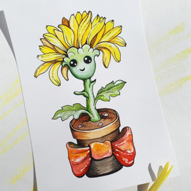 Хризантема