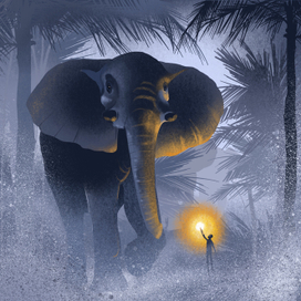 Книга Джунглей