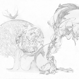 Созерцатели