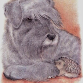 Собачка,давай поиграем!