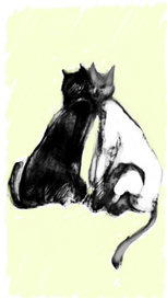 Чёрная кошка, белый кот