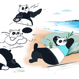 Панда подросток 