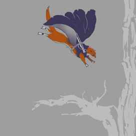 Ласка-летяга в плаще