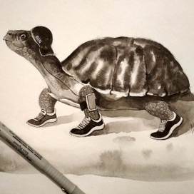 Как начать бегать