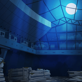 Берестье ночью