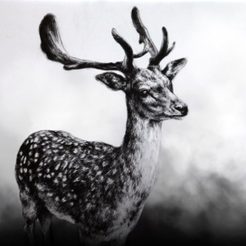 благородный олень