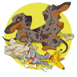 Таксоскоп: Близнецы