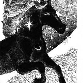 Конь, ветер, земля