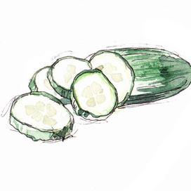 Cucumber