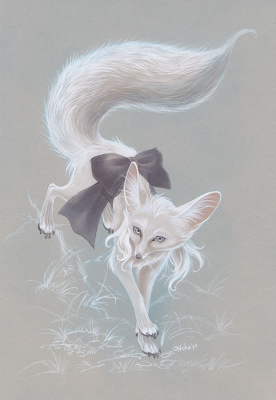 Фенек Мелона