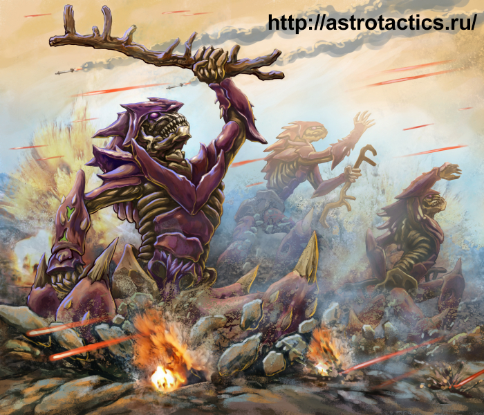 воин камари