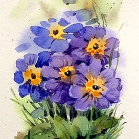 Первоцветы