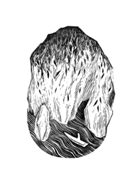 "Велга" И.Бунин