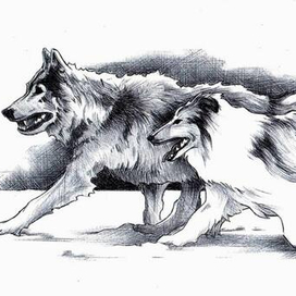 Молниеносный. 6-0