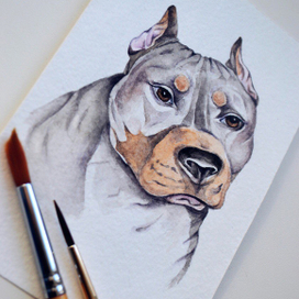 Портрет собаки