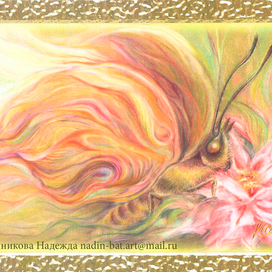 Бабочка-огонек.