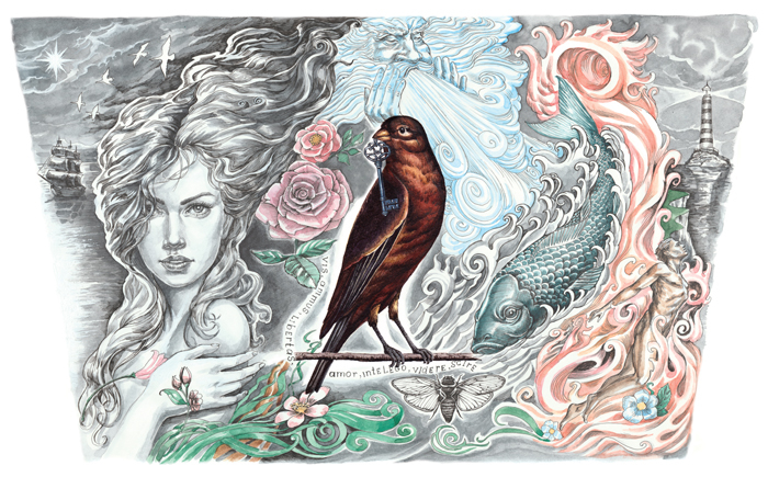 Иллюстрация для тату