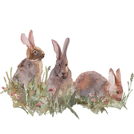 Кролики (весна)