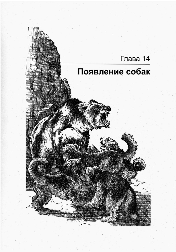 ГРИЗЛИ. Появление собак