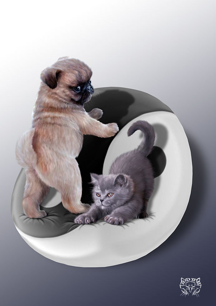 ИНЬ...ЯНЬ...!!!)))