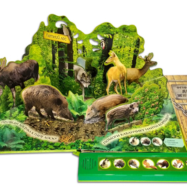 Разворот pop-up книги "В дремучем лесу"