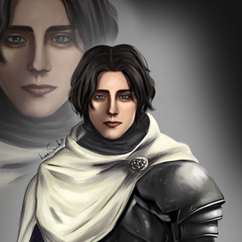 арт, рыцарь