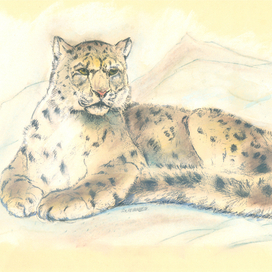 Снежный барс