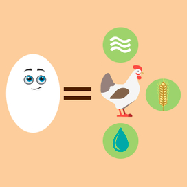 Вкусное яйцо