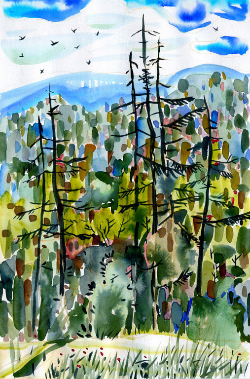 Таёжная опушка