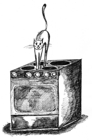 кошка на плите