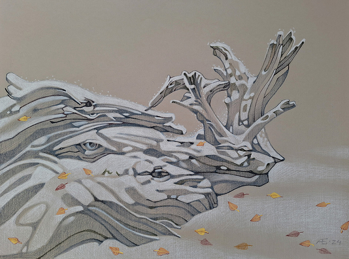 Укрытые снегом