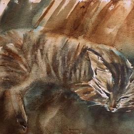 маленький тигр