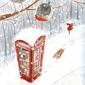 Птичий дозор