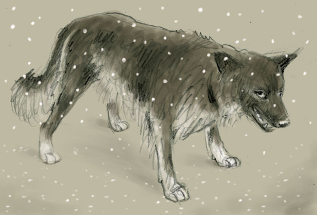 "Не ела, просто нюхала"