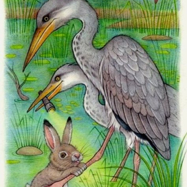 Ночные спасители