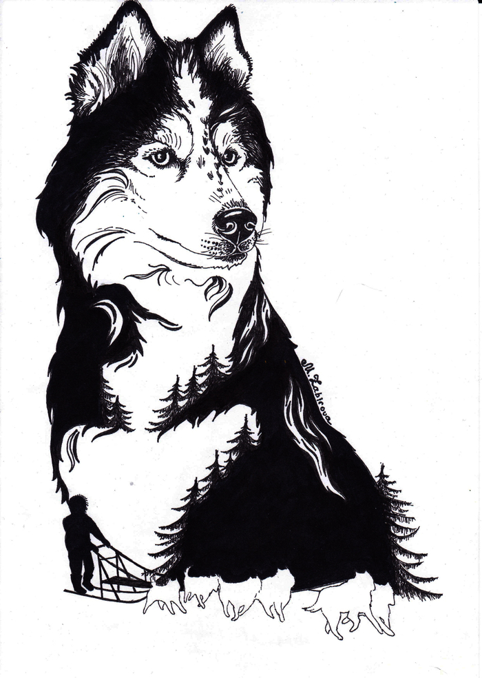 Тест принта на тему "Север"