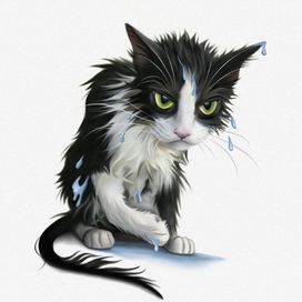 Готовьте тапки!