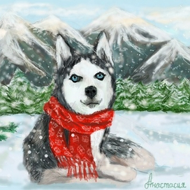 Снежный хаски в красном шарфике