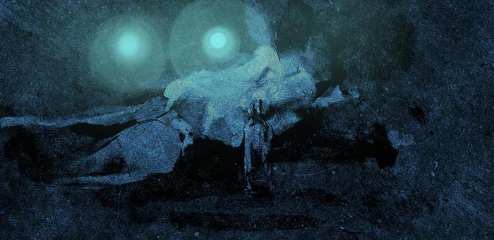 Искусство быть спящей посреди дороги...