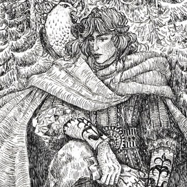 Северный ветер