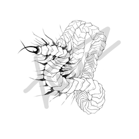 Эскиз татуировки