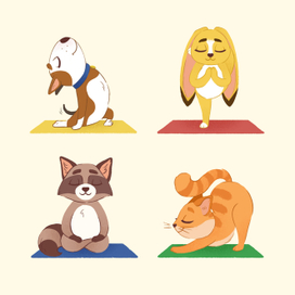 animal yoga