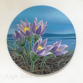 Прострел (или сон-тава)