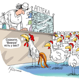 С Новым годом, годом Петуха!