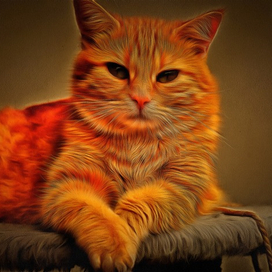 Рыжий кот (рисунок по  фото)