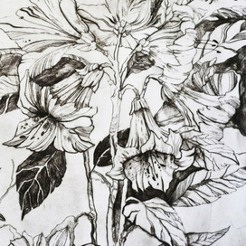 Цветы (офорт)