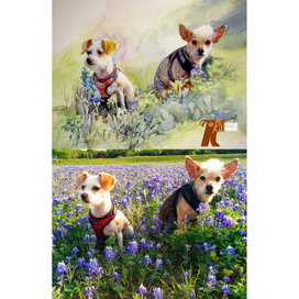 Заказ. Портрет собак 