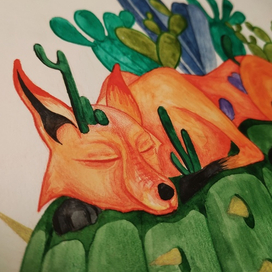 кактусовая лиса