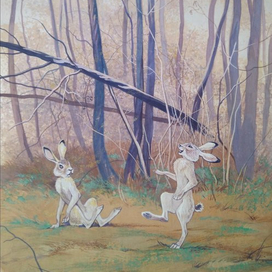 Илл. к рассказам и сказкам о природе В. Зотова (10)