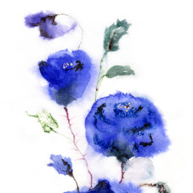 Цветы скетч 